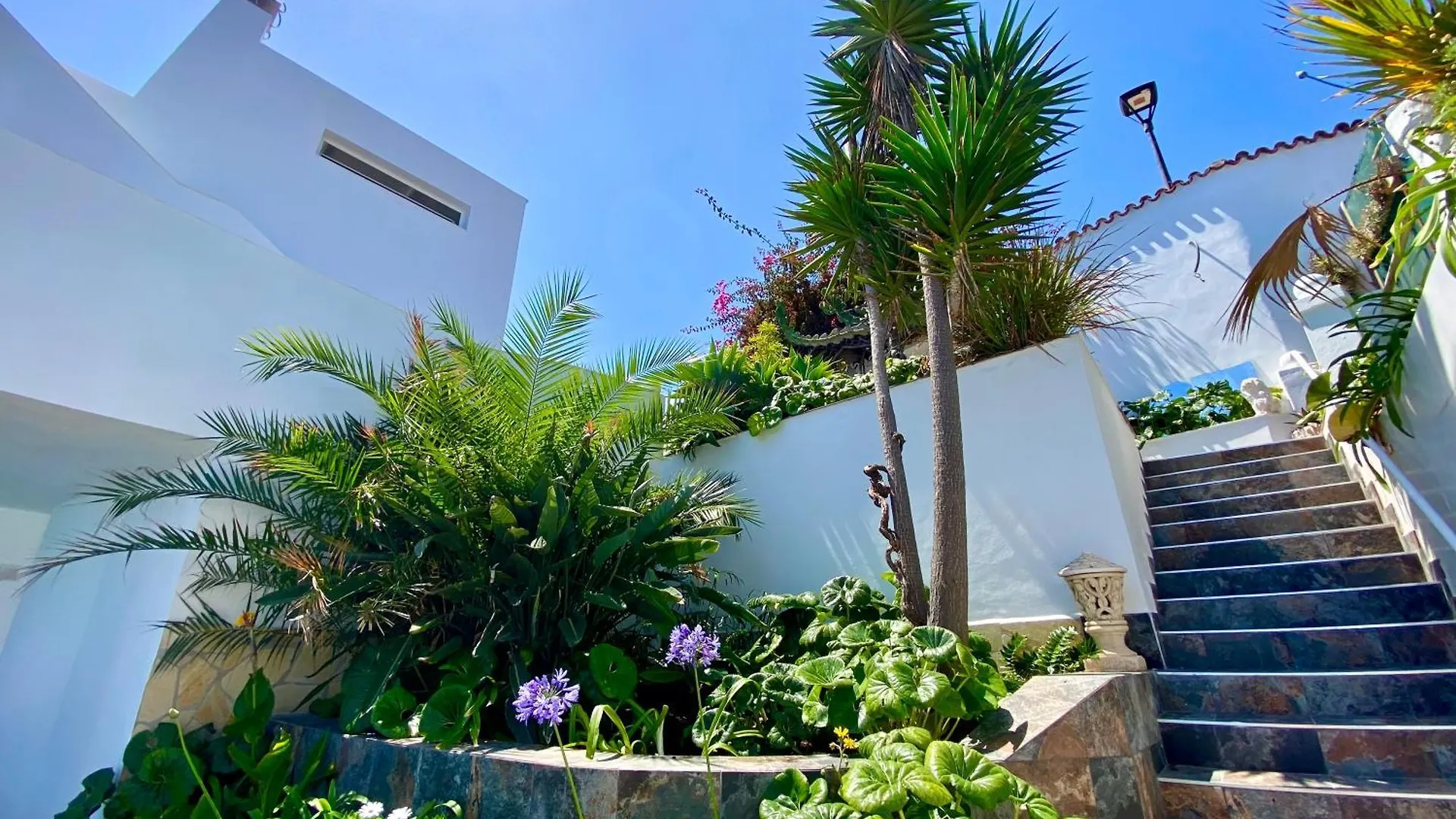 Villa Oasis La Paz - Romen Studio - Adults Only Puerto de la Cruz  Apartment Puerto de la Cruz (Tenerife)